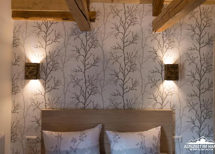 Auszeit Im Harz - Haus 2 5